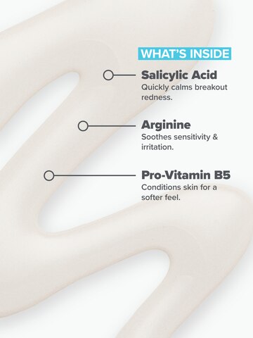 Pore Normalizing Cleanser Refill Pouch