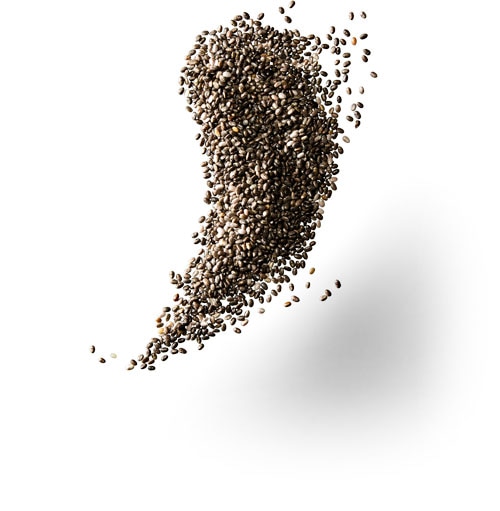 Chia Seed