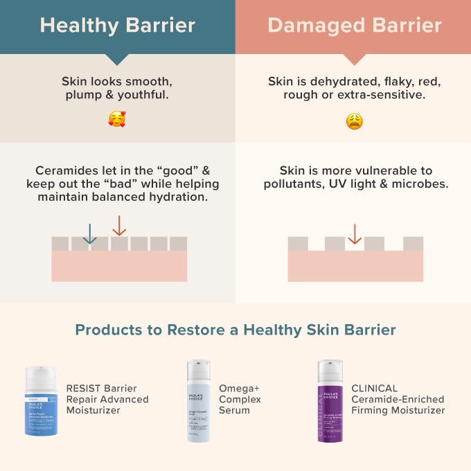 What Is the Skin Barrier How to Repair It Paula s Choice