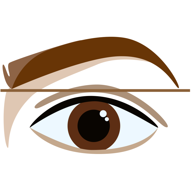 How To Shape Your Brows At Home Paula S Choice