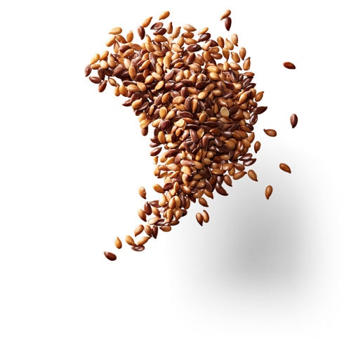 Flax Seed