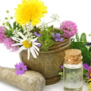 Are Natural & Organic Ingredients Better for Your Skin?